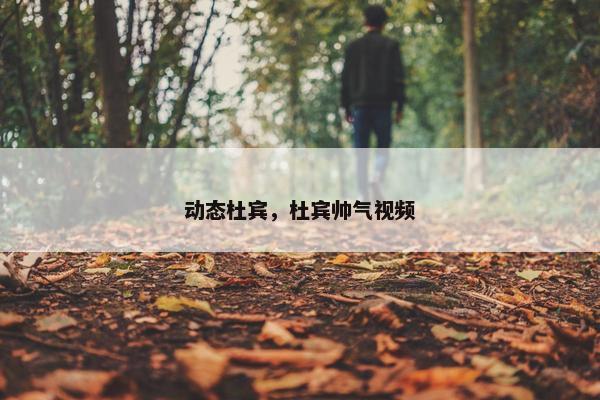 动态杜宾，杜宾帅气视频