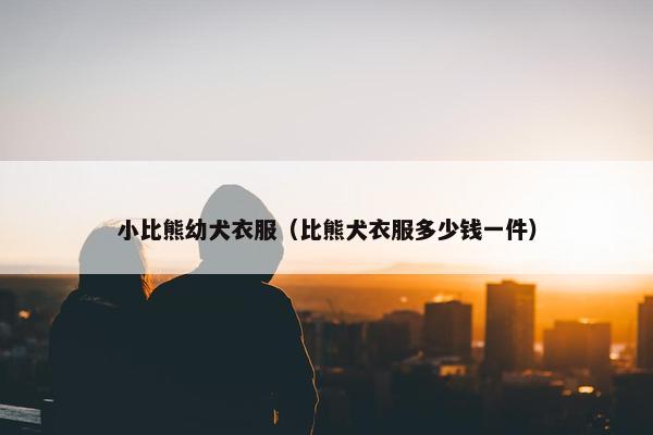 小比熊幼犬衣服（比熊犬衣服多少钱一件）