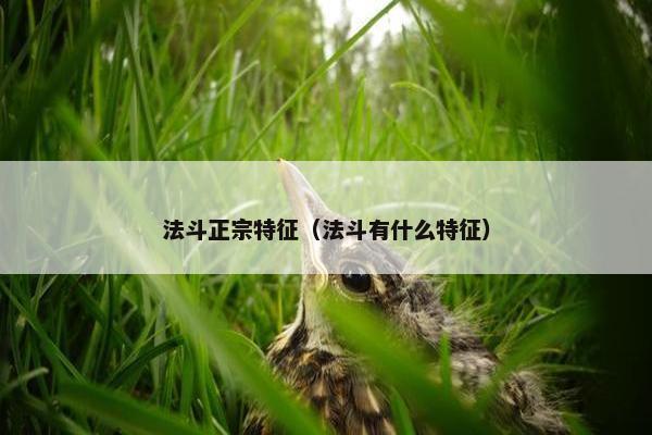 种法