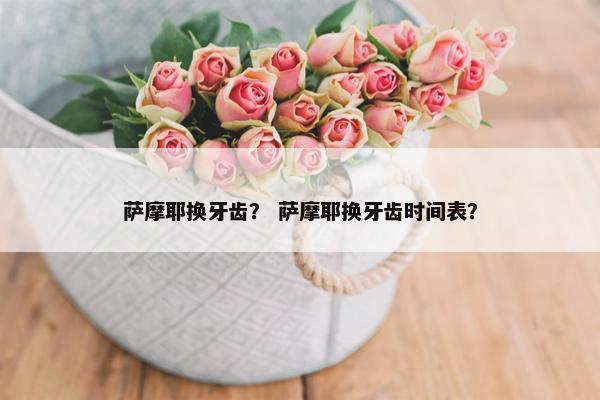 牙齿 第4页