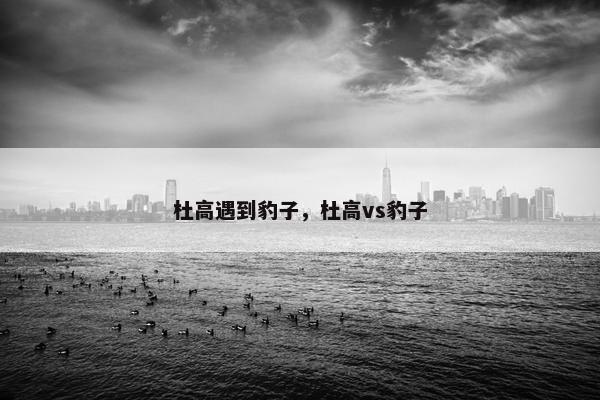 豹子