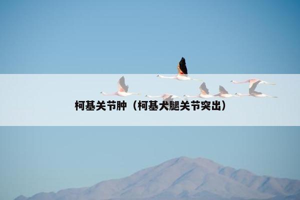 关节 第2页