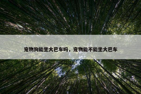 大巴车