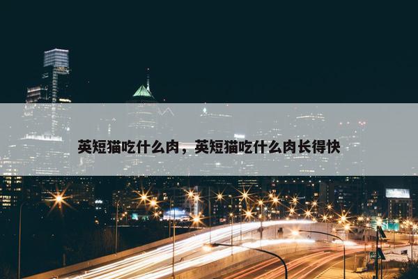 英短猫吃什么肉，英短猫吃什么肉长得快