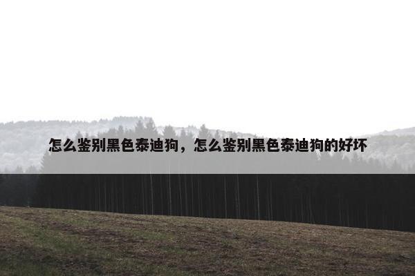 怎么鉴别黑色泰迪狗，怎么鉴别黑色泰迪狗的好坏