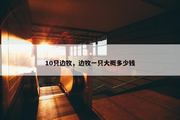 牧犬 第4页