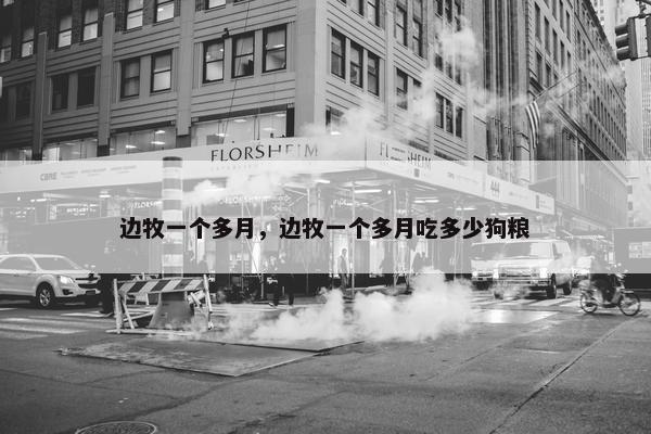 边牧一个多月，边牧一个多月吃多少狗粮