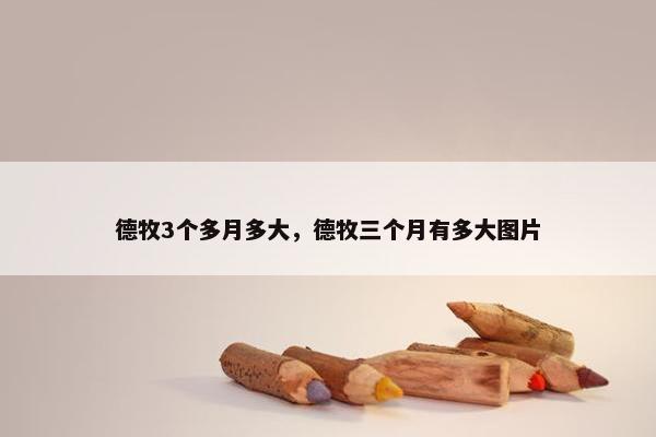 德牧3个多月多大，德牧三个月有多大图片