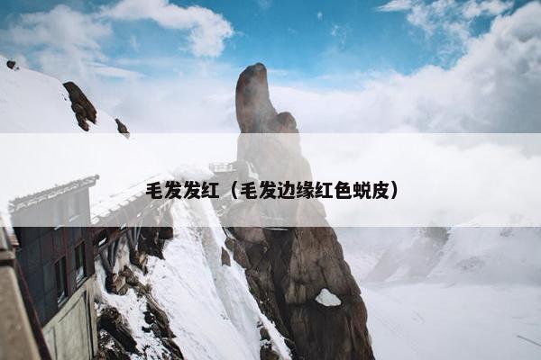 眼睛 第12页