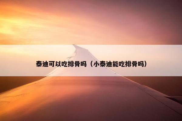泰迪可以吃排骨吗（小泰迪能吃排骨吗）