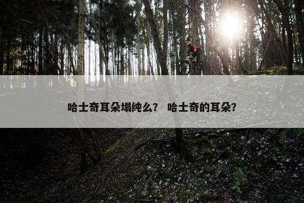 哈士奇耳朵塌纯么？ 哈士奇的耳朵？