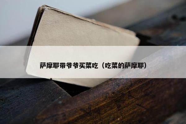 萨摩耶带爷爷买菜吃（吃菜的萨摩耶）