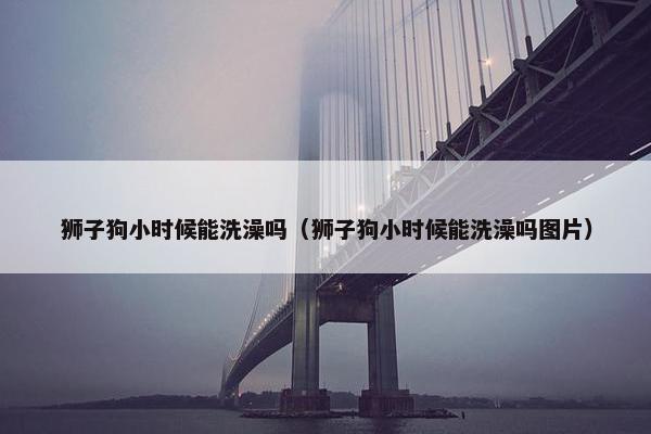 狮子狗小时候能洗澡吗（狮子狗小时候能洗澡吗图片）