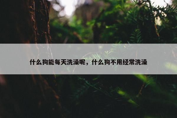 什么狗能每天洗澡呢，什么狗不用经常洗澡