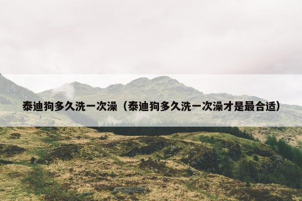 泰迪狗多久洗一次澡（泰迪狗多久洗一次澡才是最合适）