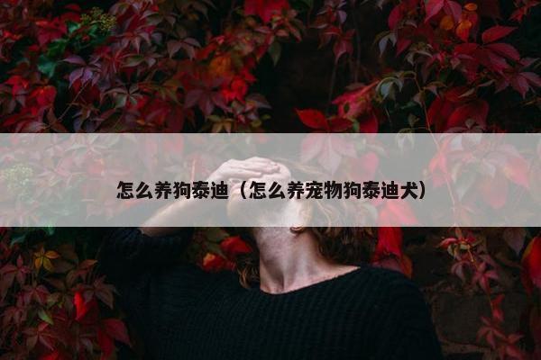怎么养狗泰迪（怎么养宠物狗泰迪犬）