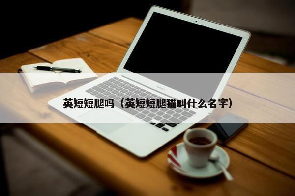 英短短腿吗（英短短腿猫叫什么名字）