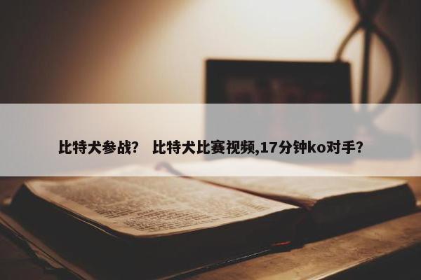 比特犬参战？ 比特犬比赛视频,17分钟ko对手？