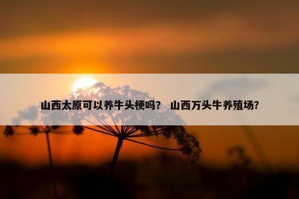 山西太原可以养牛头梗吗？ 山西万头牛养殖场？