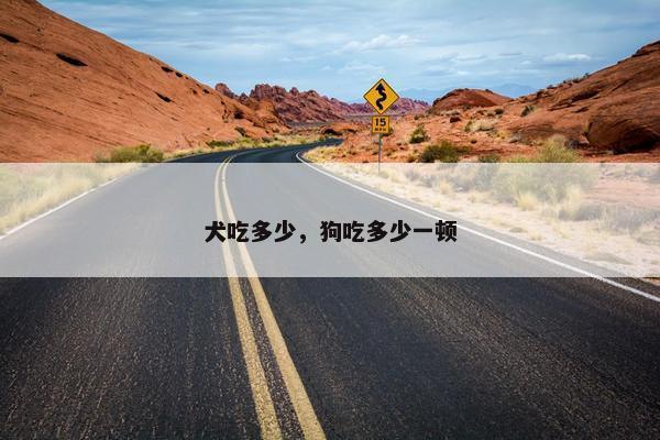 犬吃多少,狗吃多少一顿