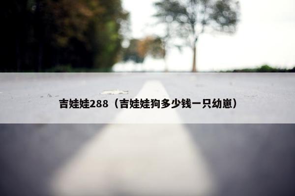 吉娃娃288（吉娃娃狗多少钱一只幼崽）