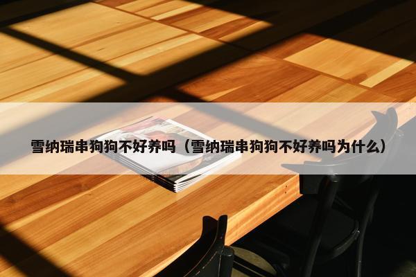 雪纳瑞串狗狗不好养吗(雪纳瑞串狗狗不好养吗为什么)
