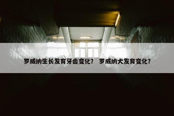 门齿 第2页