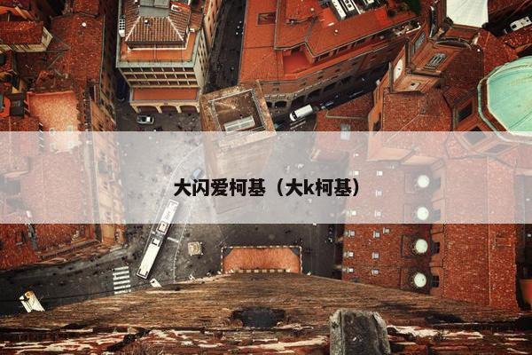 大闪爱柯基（大k柯基）