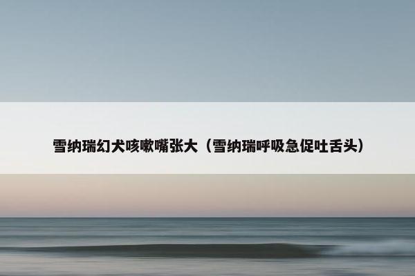 雪纳瑞幻犬咳嗽嘴张大（雪纳瑞呼吸急促吐舌头）