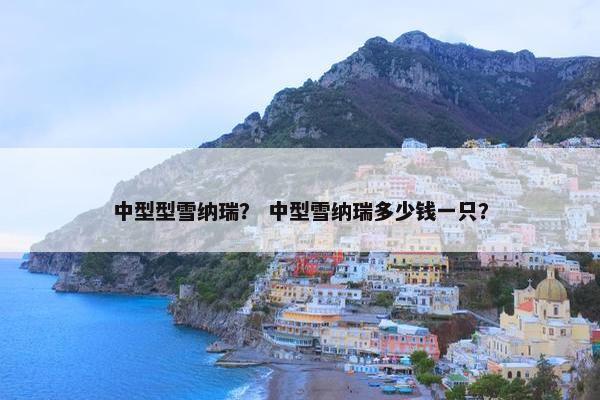 中型型雪纳瑞？ 中型雪纳瑞多少钱一只？