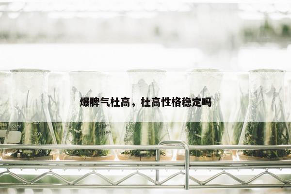 爆脾气杜高，杜高性格稳定吗