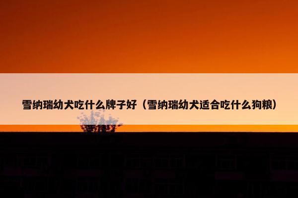 雪纳瑞幼犬吃什么牌子好（雪纳瑞幼犬适合吃什么狗粮）