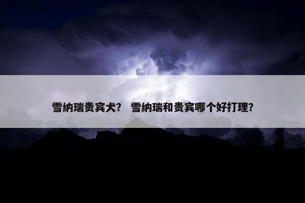 精力充沛