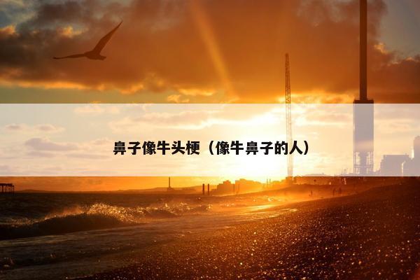 鼻子像牛头梗（像牛鼻子的人）