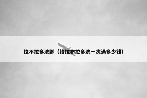 拉不拉多洗脚（给拉布拉多洗一次澡多少钱）