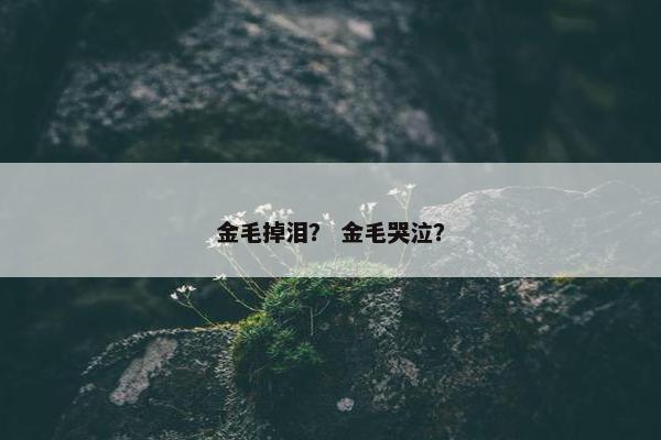 林冲