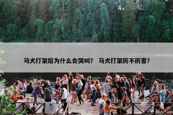 马犬打架后为什么会哭叫? 马犬打架厉不厉害?