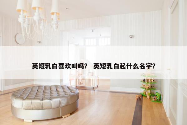 英短乳白喜欢叫吗？ 英短乳白起什么名字？