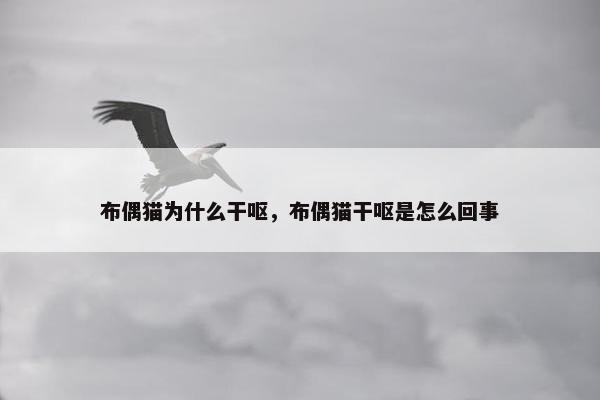 布偶猫为什么干呕，布偶猫干呕是怎么回事
