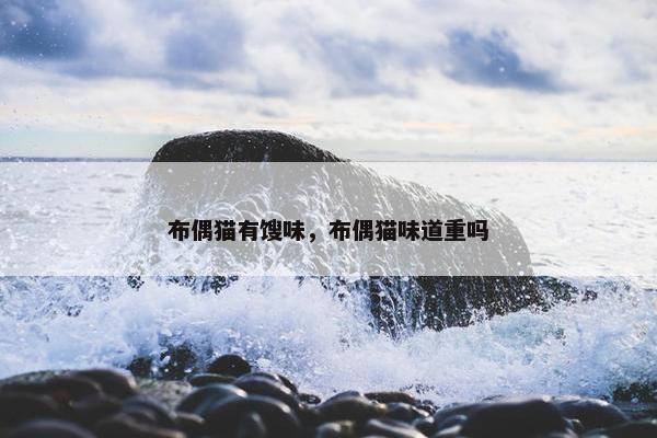 布偶猫有馊味，布偶猫味道重吗