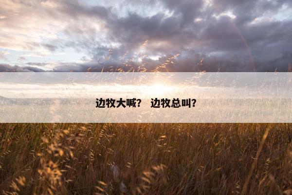 助训员 第2页