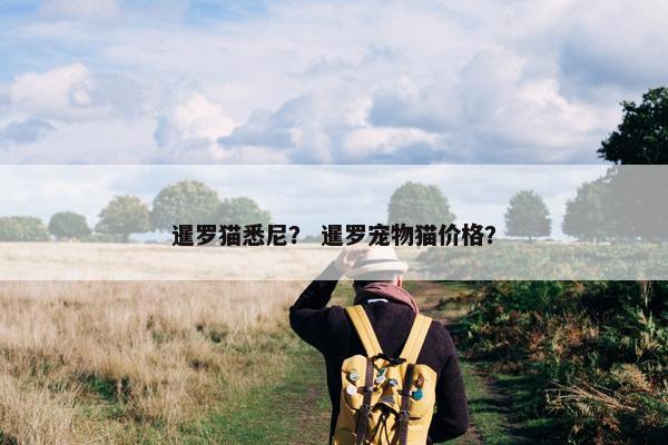坎普