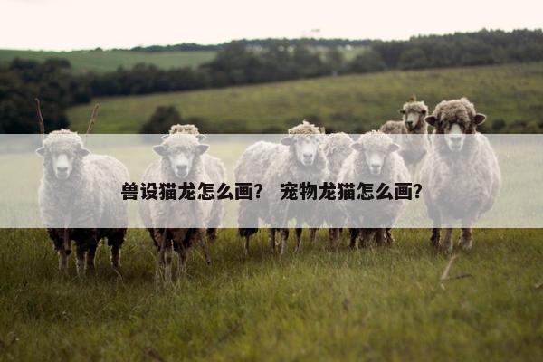 兽设猫龙怎么画？ 宠物龙猫怎么画？