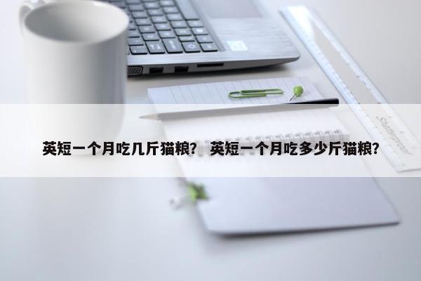 英短一个月吃几斤猫粮？ 英短一个月吃多少斤猫粮？