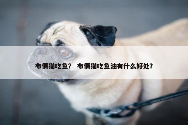 三文鱼