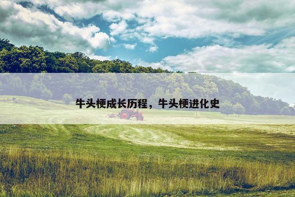 牛头梗成长历程，牛头梗进化史