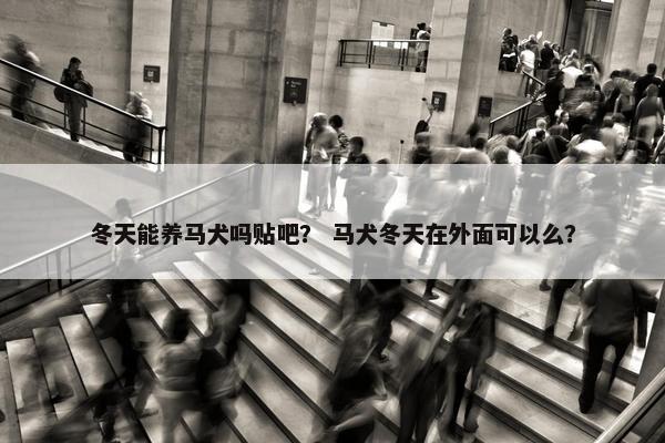 冬天能养马犬吗贴吧？ 马犬冬天在外面可以么？