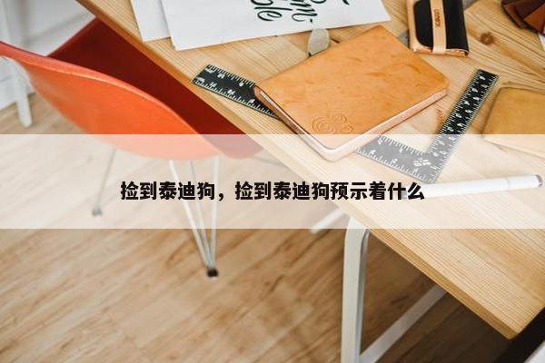 捡到泰迪狗，捡到泰迪狗预示着什么