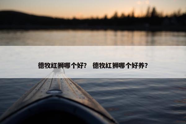 德牧红狮哪个好？ 德牧红狮哪个好养？