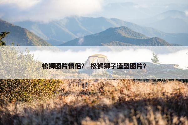 松狮图片情侣？ 松狮狮子造型图片？